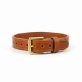 Premium Leather Collar